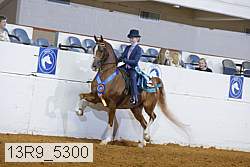 13r9_5300 proof