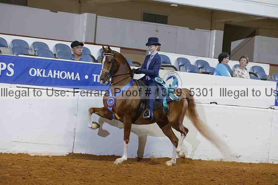 Proof 13r9_5301