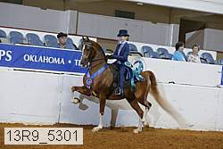 13r9_5301 proof