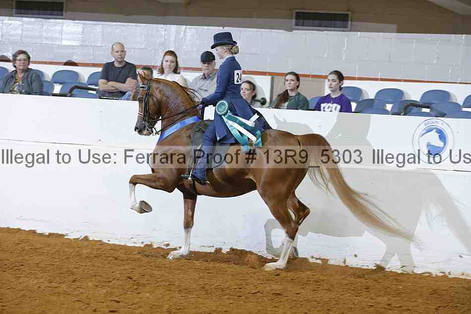 Proof 13r9_5303
