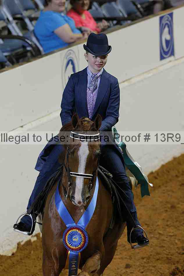 Proof 13r9_5306