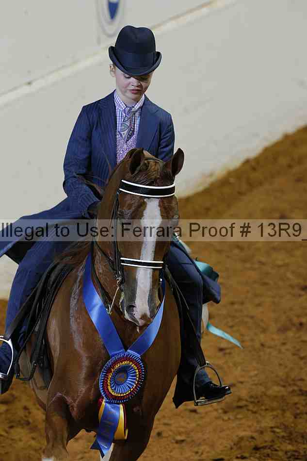 Proof 13r9_5307