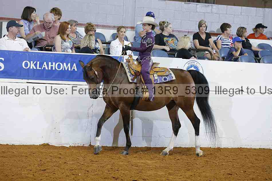 Proof 13r9_5309