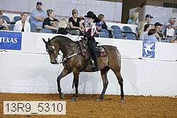 13r9_5310 proof