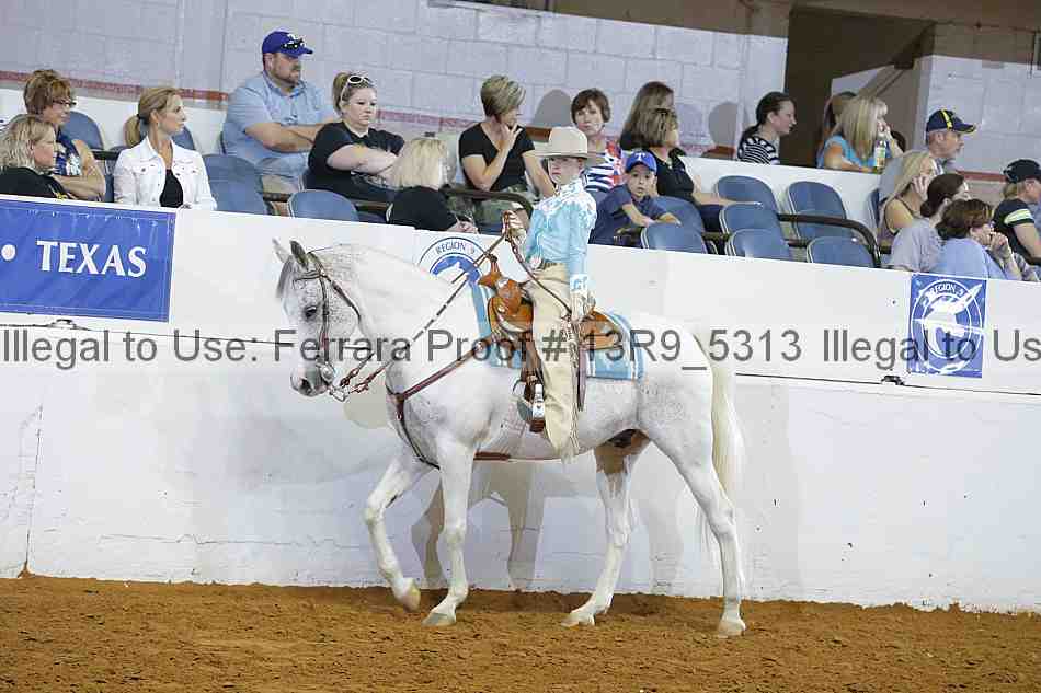 Proof 13r9_5313
