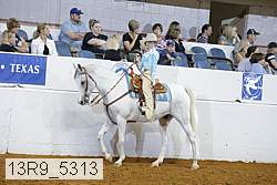 13r9_5313 proof