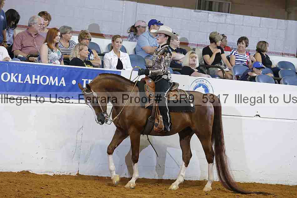 Proof 13r9_5317