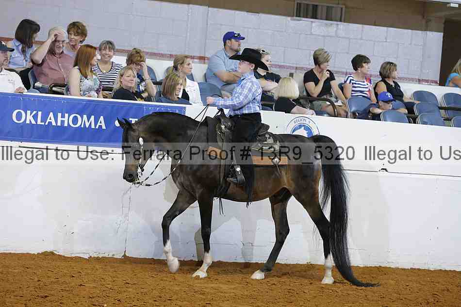 Proof 13r9_5320