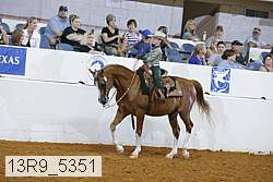 13r9_5351 proof