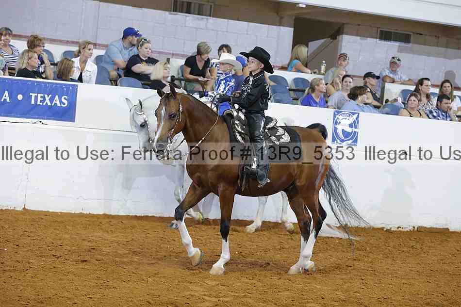 Proof 13r9_5353