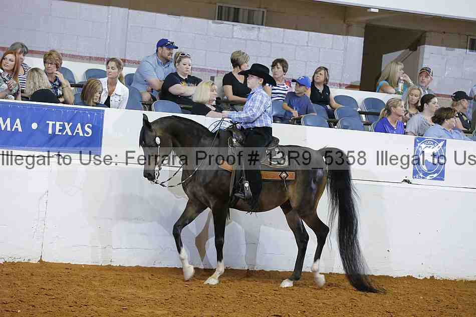 Proof 13r9_5358