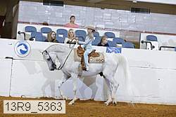 13r9_5363 proof