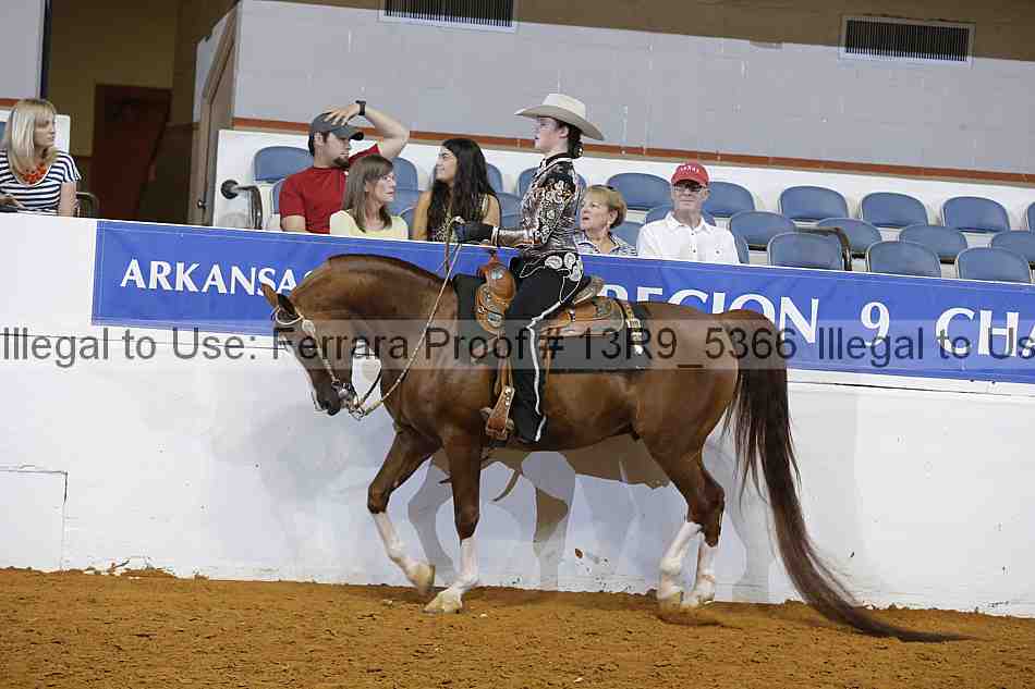 Proof 13r9_5366
