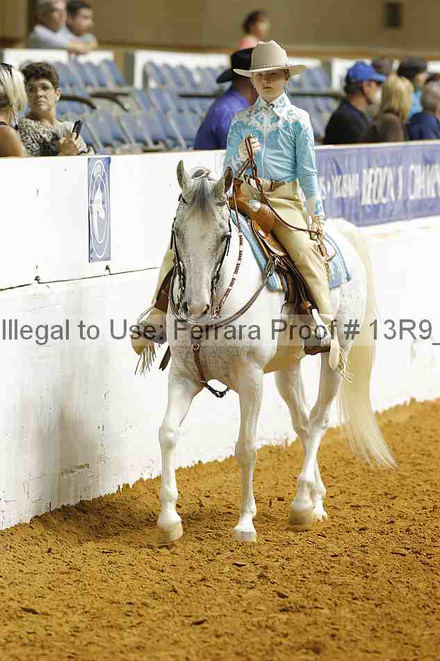 Proof 13r9_5368
