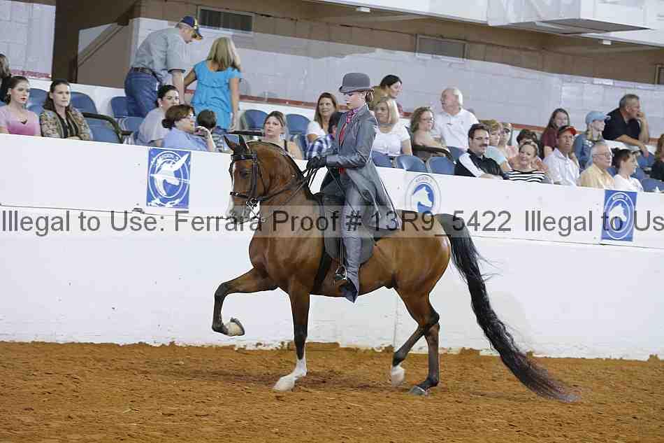Proof 13r9_5422