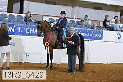 13r9_5429 proof