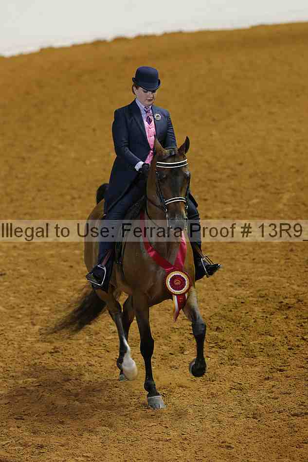 Proof 13r9_5431