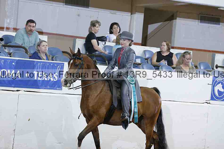 Proof 13r9_5433