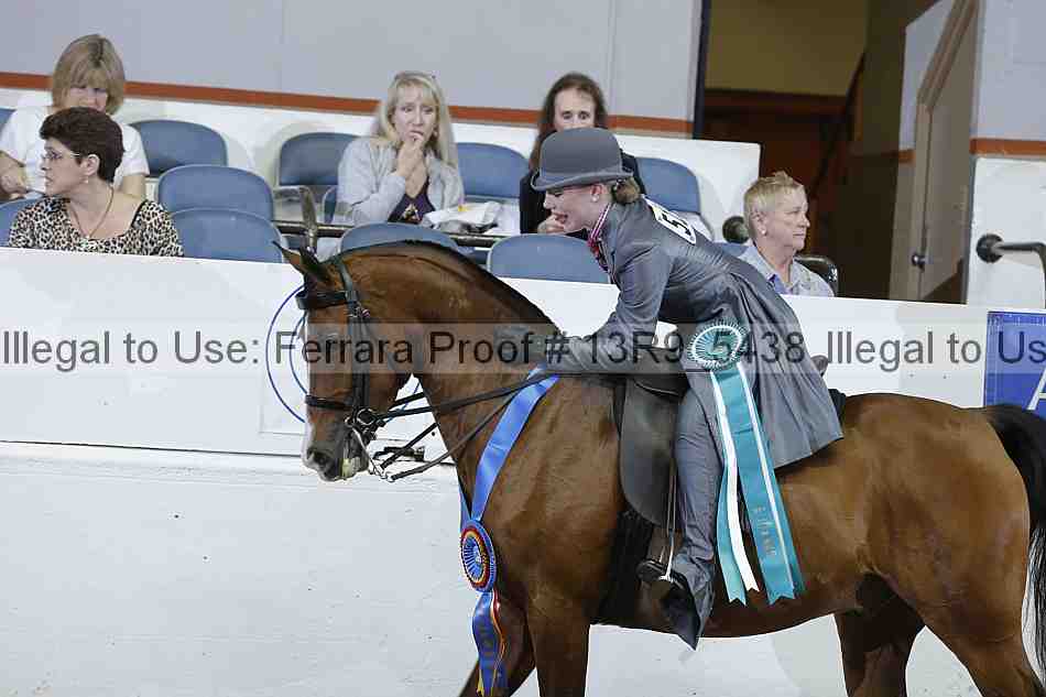 Proof 13r9_5438