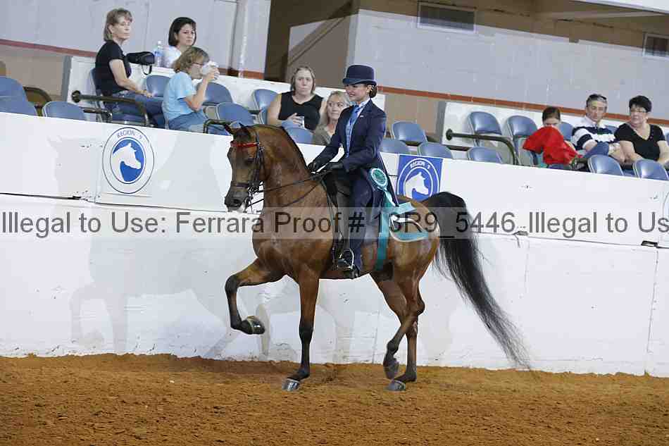 Proof 13r9_5446