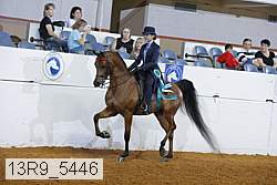 13r9_5446 proof