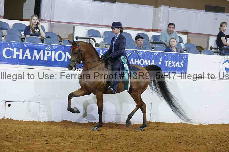 Proof 13r9_5447