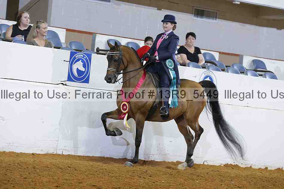 Proof 13r9_5449