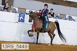 13r9_5449 proof