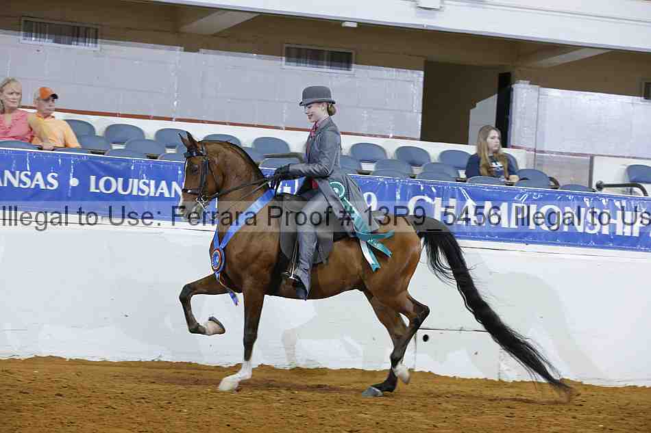 Proof 13r9_5456