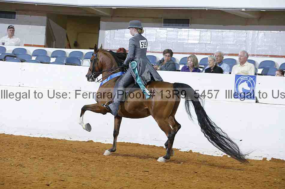 Proof 13r9_5457