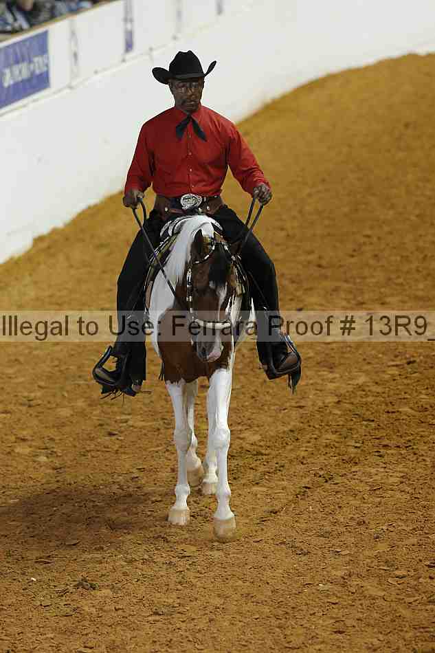 Proof 13r9_5461