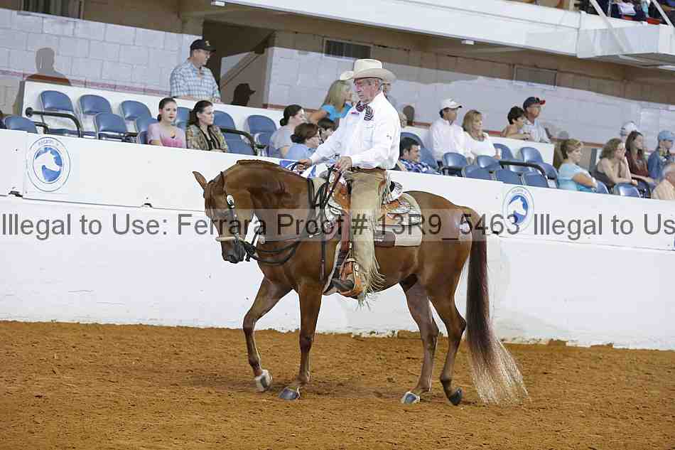 Proof 13r9_5463