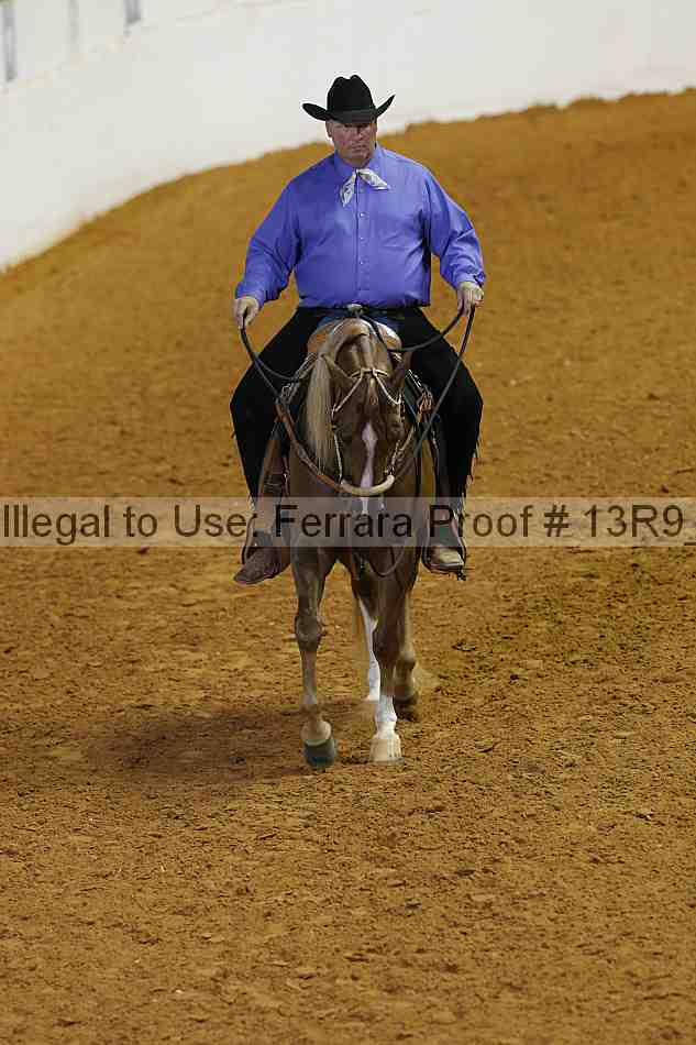 Proof 13r9_5466