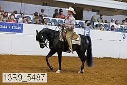 13r9_5487 proof