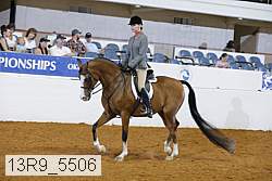13r9_5506 proof