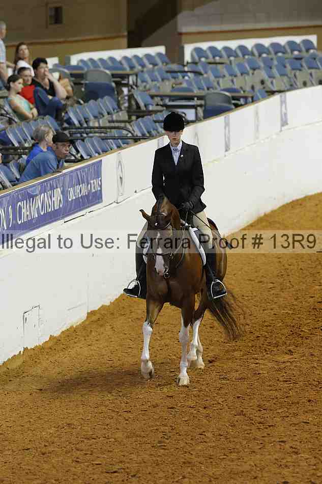 Proof 13r9_5507