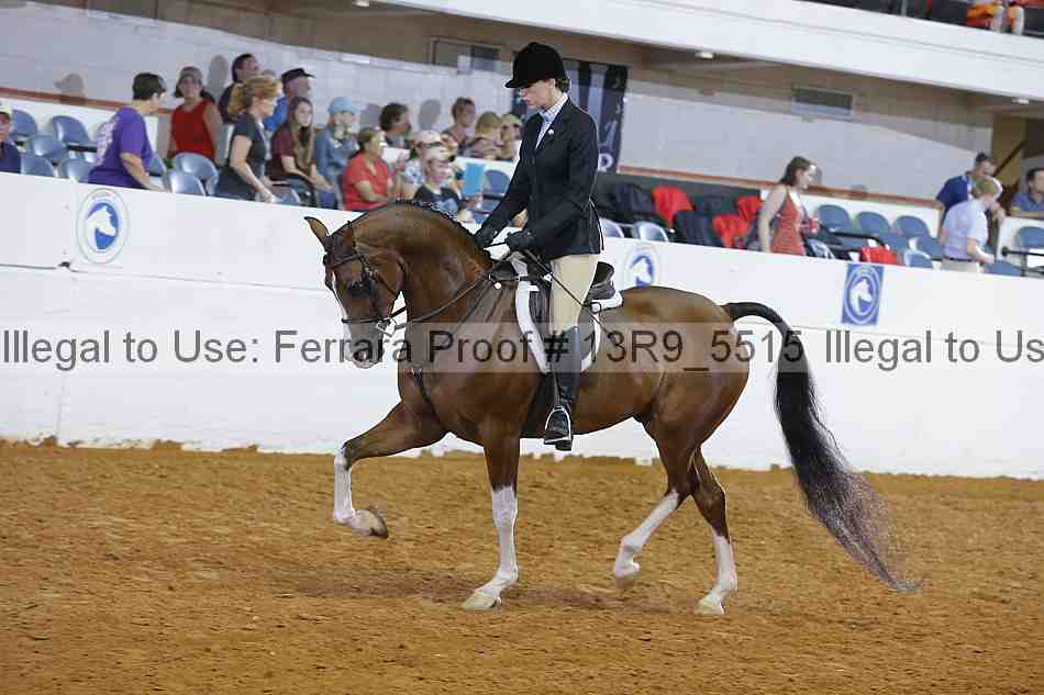 Proof 13r9_5515