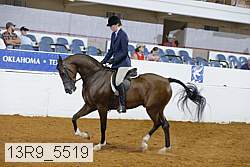 13r9_5519 proof