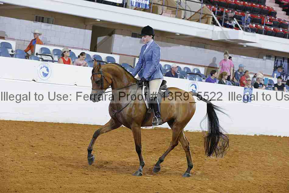 Proof 13r9_5522