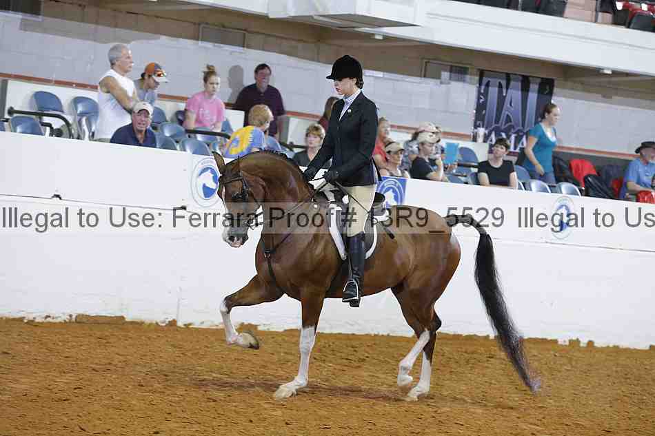 Proof 13r9_5529