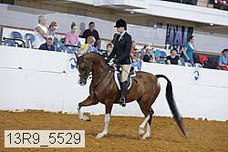13r9_5529 proof