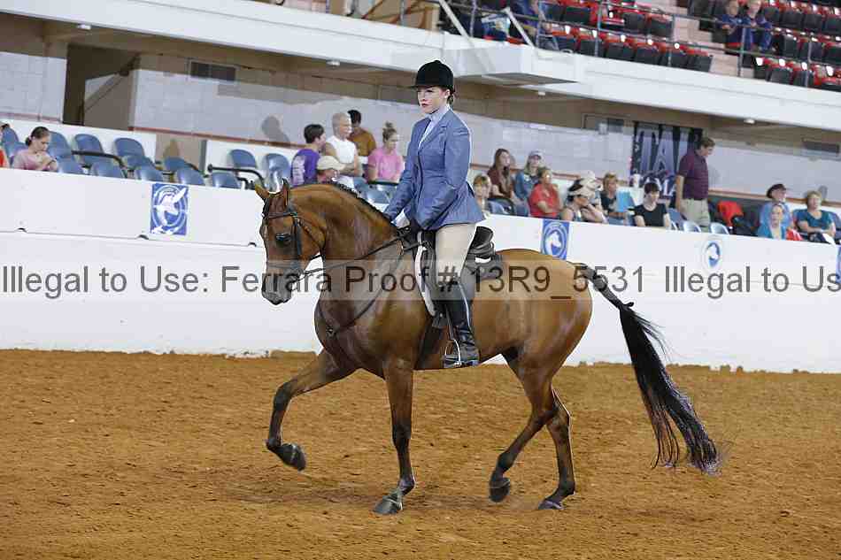 Proof 13r9_5531