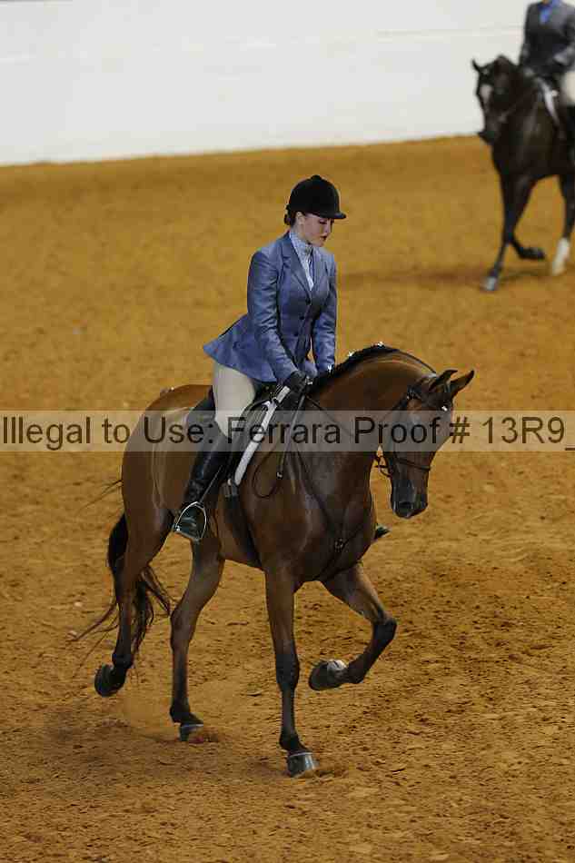 Proof 13r9_5532