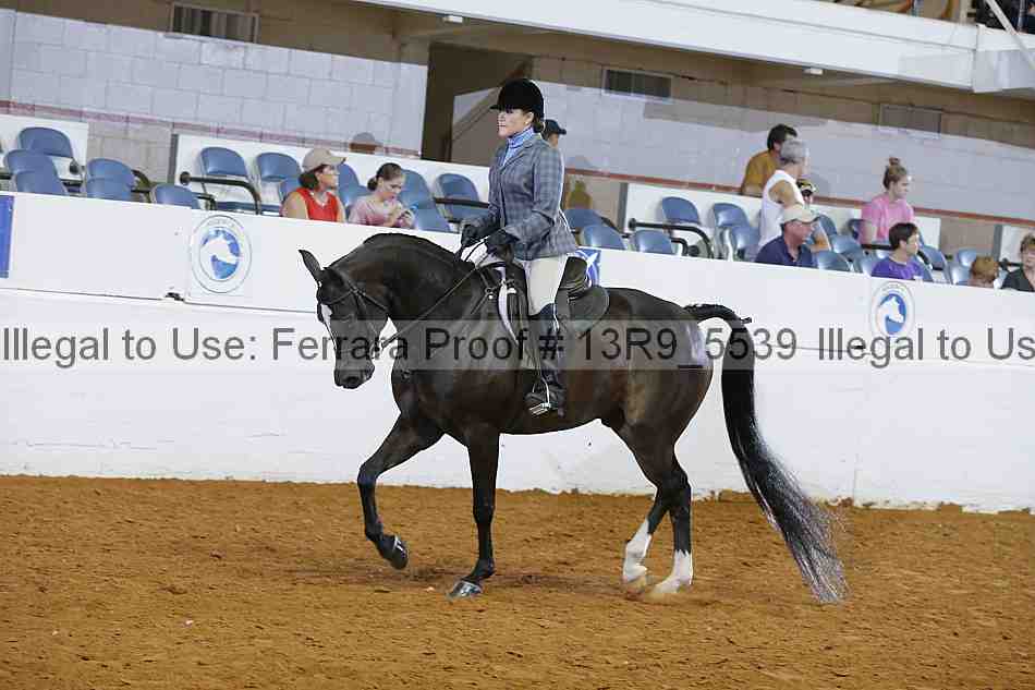 Proof 13r9_5539