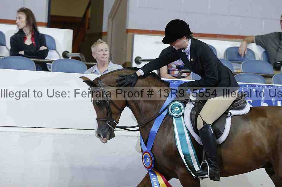 Proof 13r9_5554