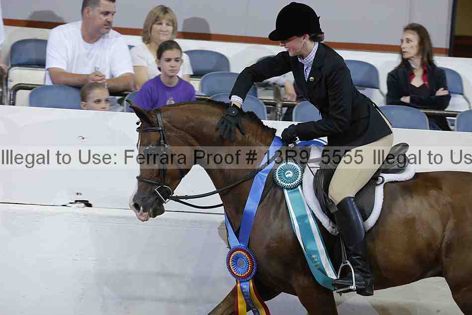 Proof 13r9_5555