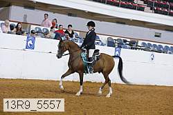 13r9_5557 proof