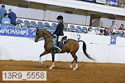 13r9_5558 proof