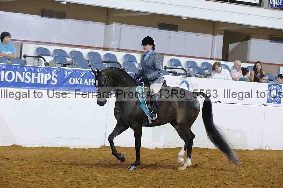 Proof 13r9_5563
