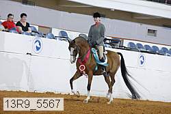 13r9_5567 proof
